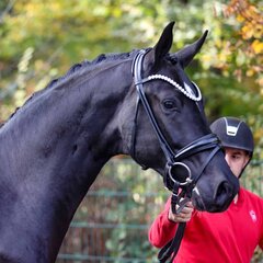 Blank Space (Bonderas x San Amour) (c) Petra Kerschbaum | © (c) Petra Kerschbaum