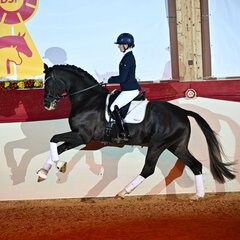 (c) Björn Schröder | © (c) Björn Schröder