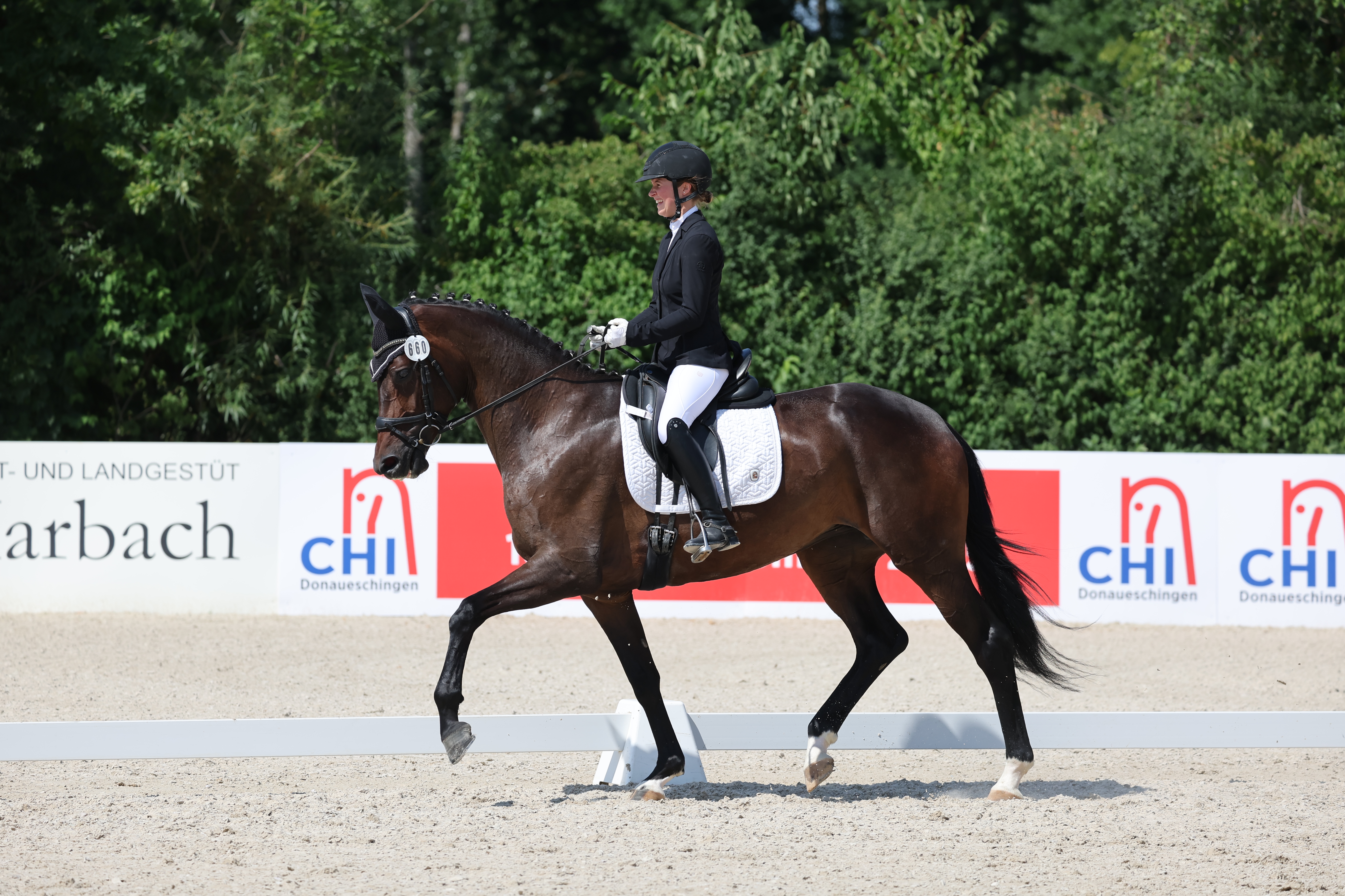 Fiene-Liene (Fineline x Quadrofino), geb. 2022, Züchter: Anton Herre | © Fiene-Liene (Fineline x Quadrofino), geb. 2022, Züchter: Anton Herre